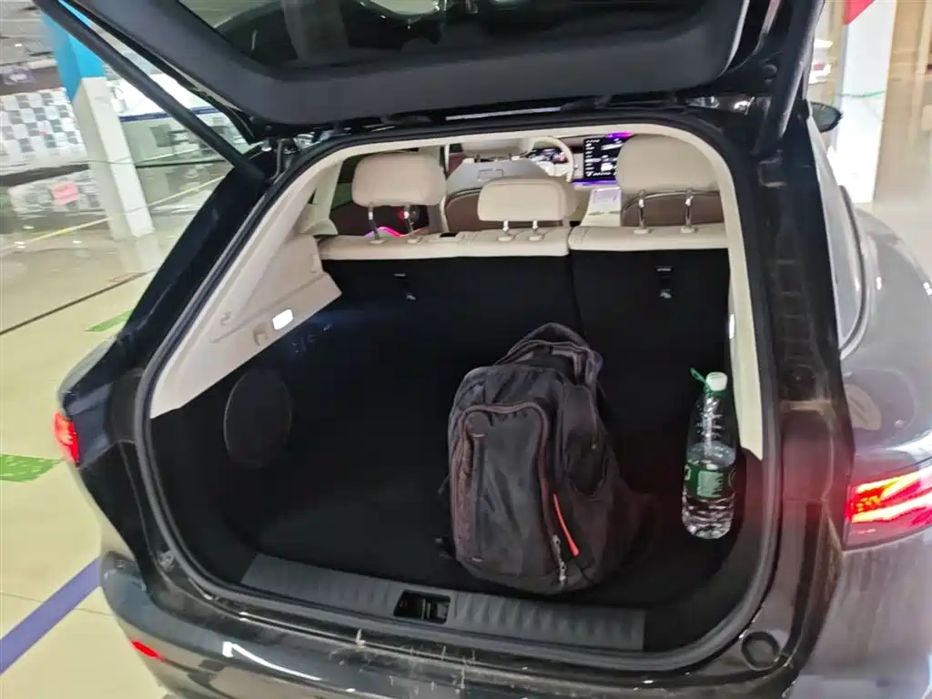 Voyah Auto Voyah Zhiyin 2025 Base фото 19