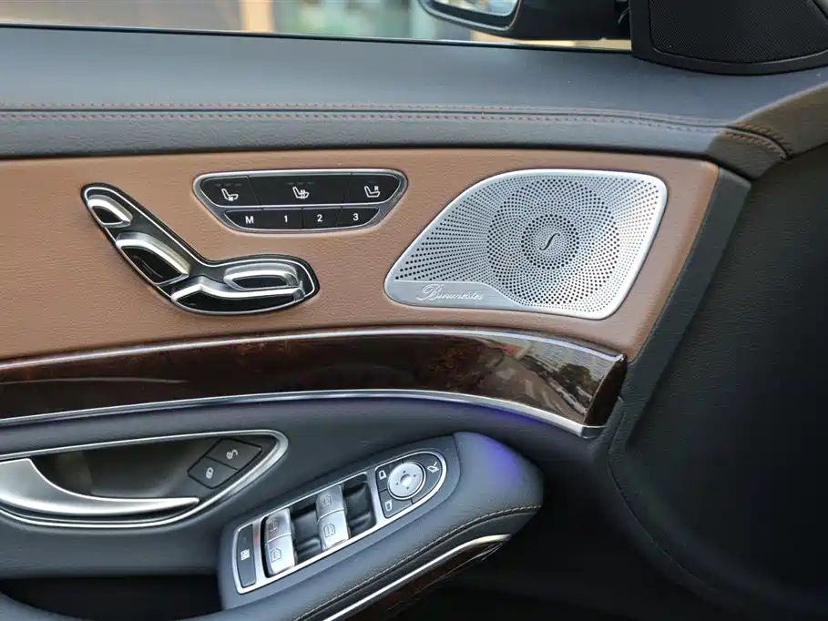 Mercedes-Benz S-Class 2020 S 350 L Premium Edition Collector's Version фото 14