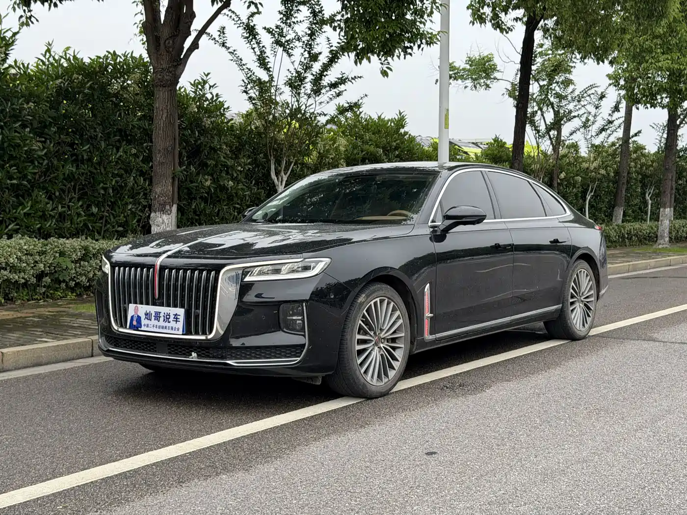 Hongqi H9 2020 2.0T Smart Connection Qi Chang Edition