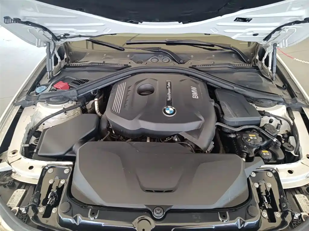BMW 3 Series 2018 320Li Fashion Style фото 20