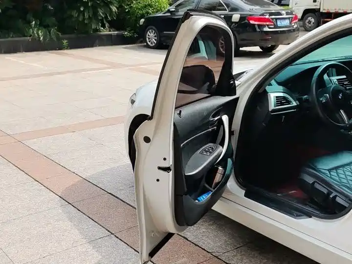 BMW 1 Series (Import) 2013 Facelift 116i Leading Model фото 14