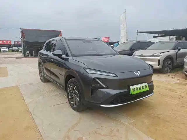  Wuling Motors Wuling Xingguang S 2024 510km Flagship Model