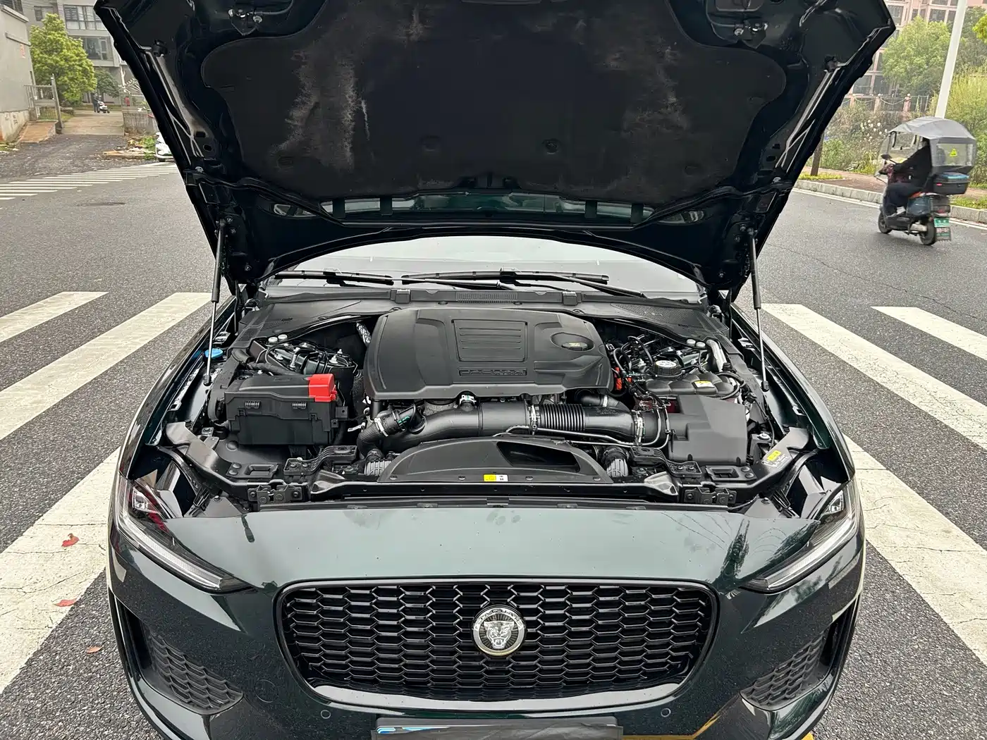 Jaguar XEL 2025 2025 2.0T 250PS R-DYNAMIC 90th Anniversary Edition