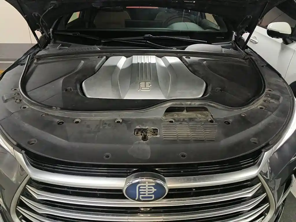 Photo 3 - BYD Tang New Energy