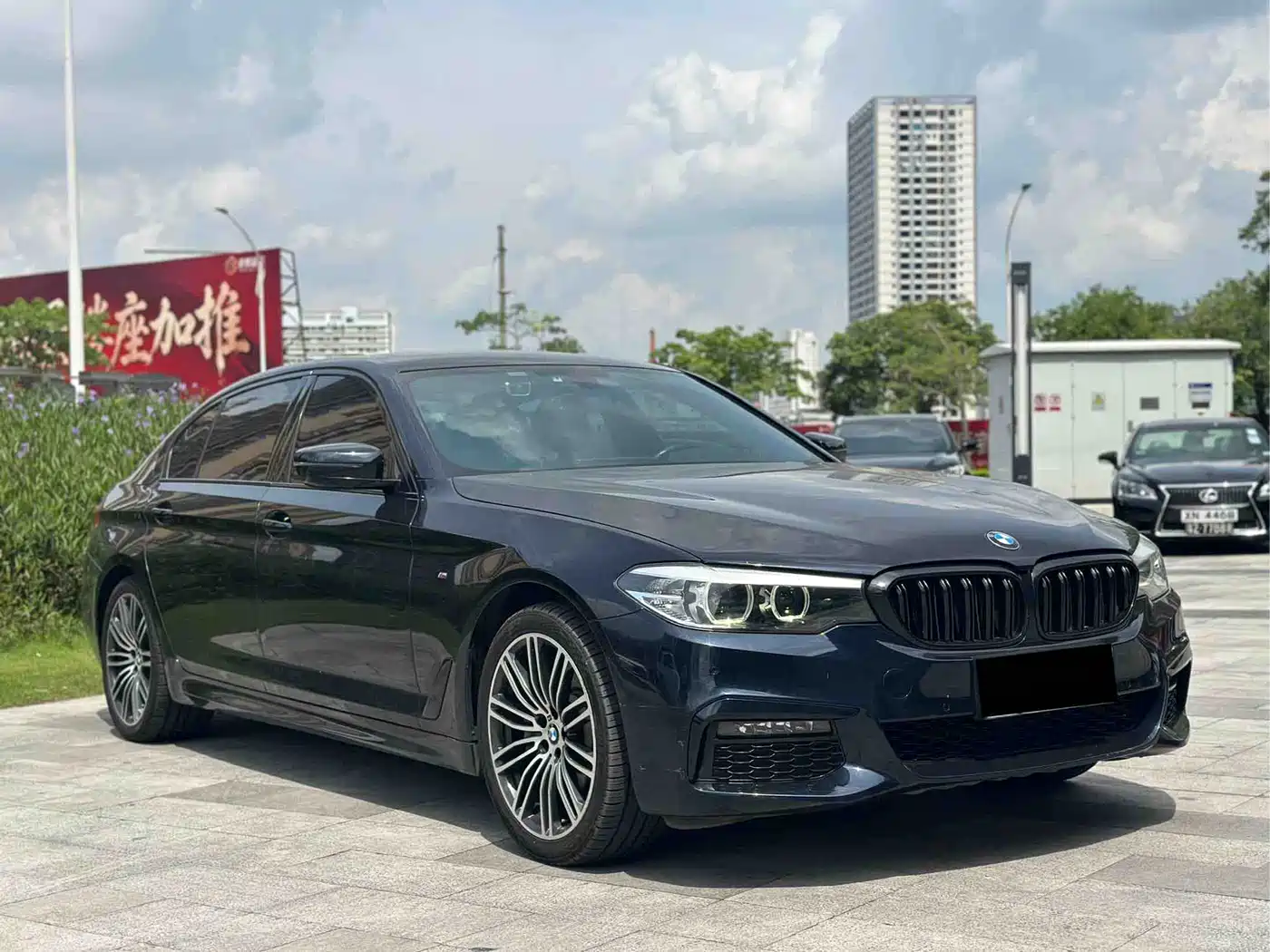 BMW 5 Series 2019 530Li xDrive M Sport Package фото 3