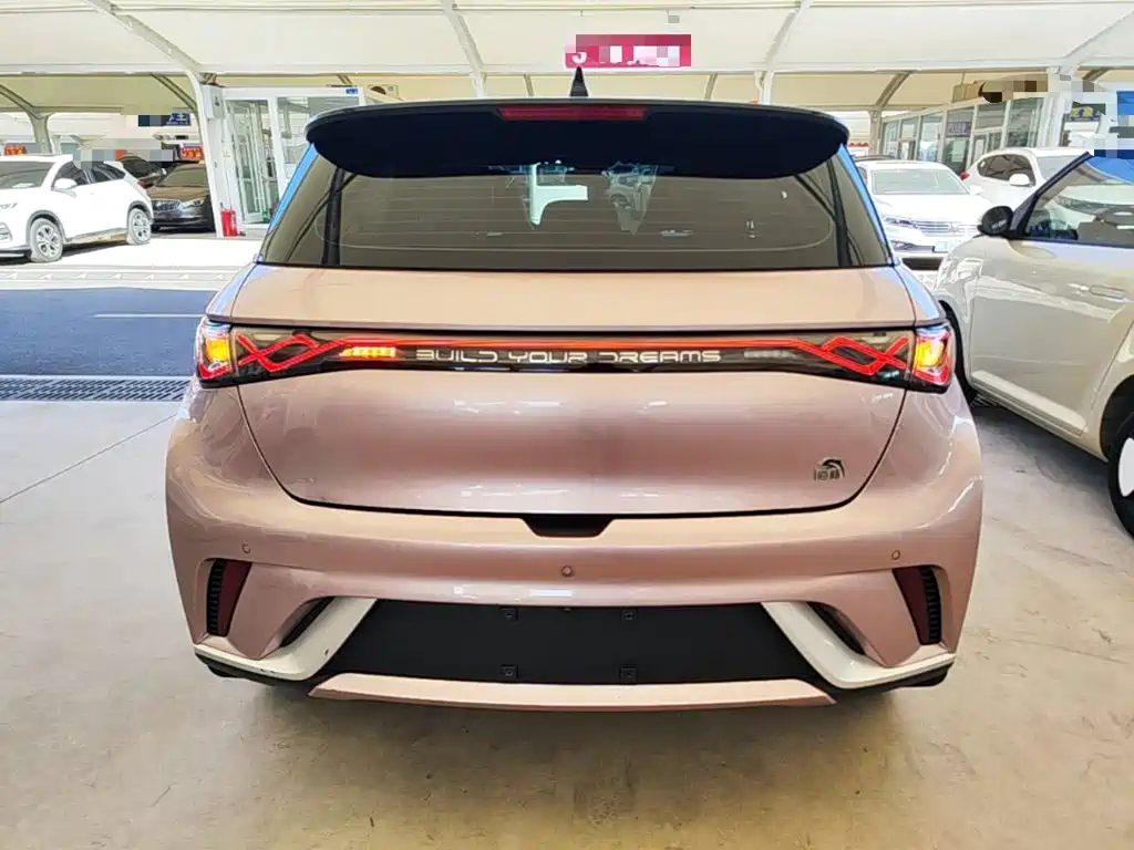 Фото 6 - BYD Dolphin