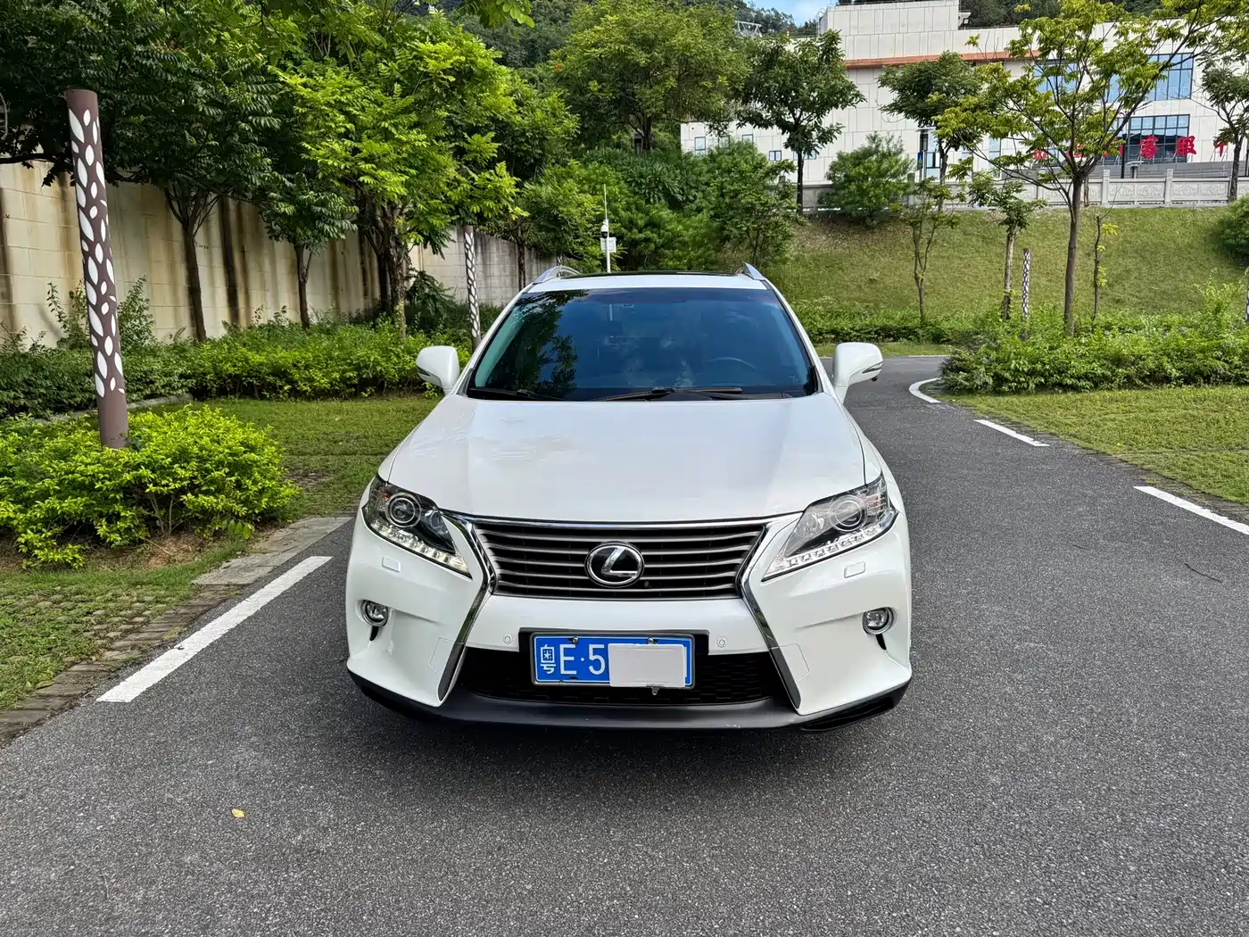 Lexus RX Classic 2014 2013 Model 350 Elegance
