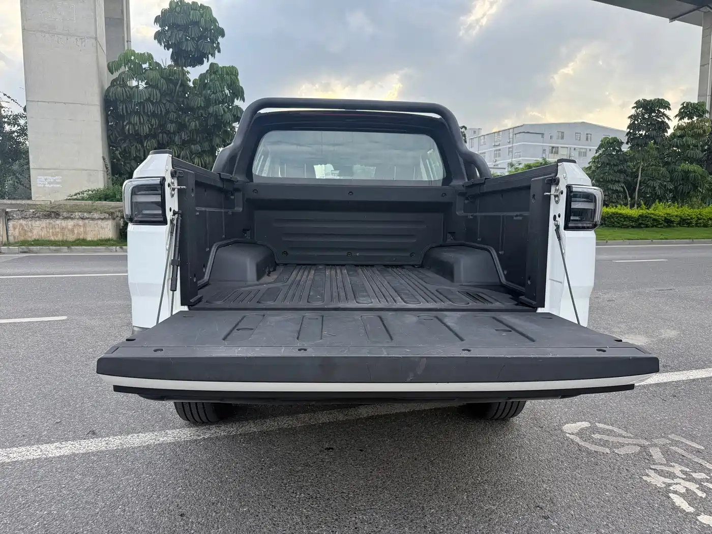 Geely Radar Radar King Kong 2025 2025 430km 2WD Standard Cargo Wealth Guardian