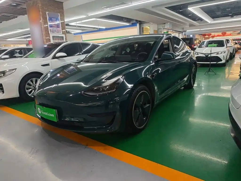 Tesla Model 3 2021 Standard Range Rear-Wheel Drive Upgrade 3D6