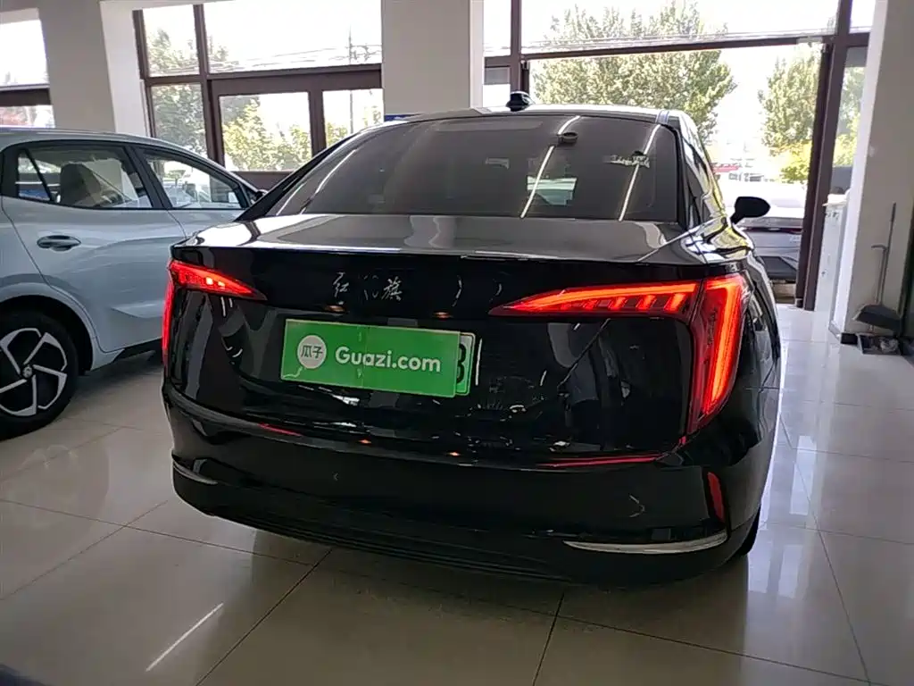 Hongqi E-QM5 2022 431km Charging Enjoyment Edition фото 6