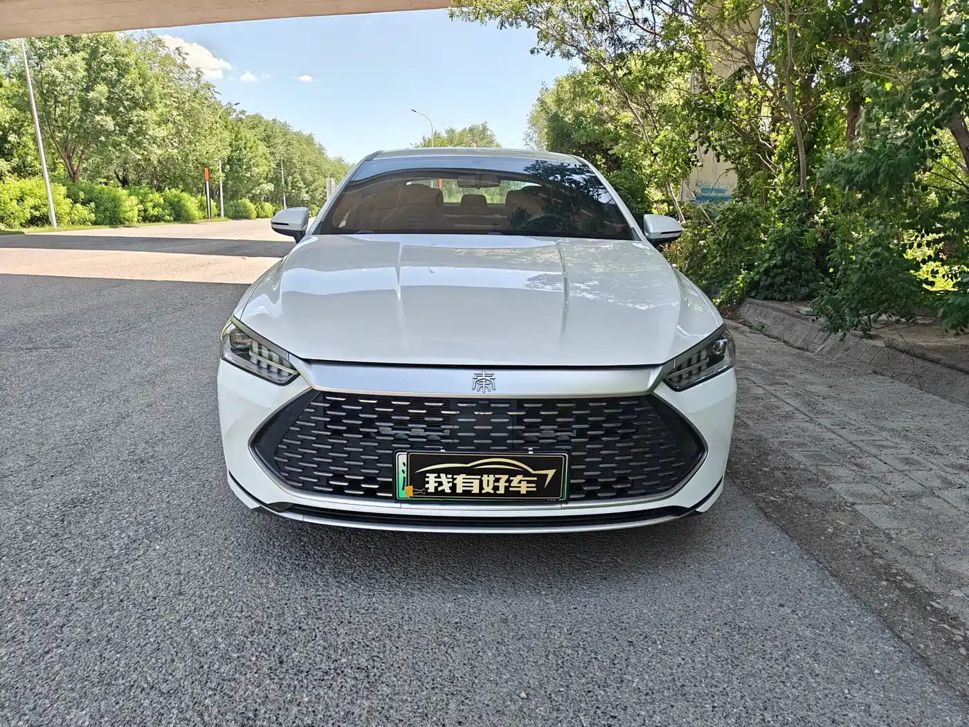 BYD Qin PLUS 2021 DM-i 55KM Premium фото 2