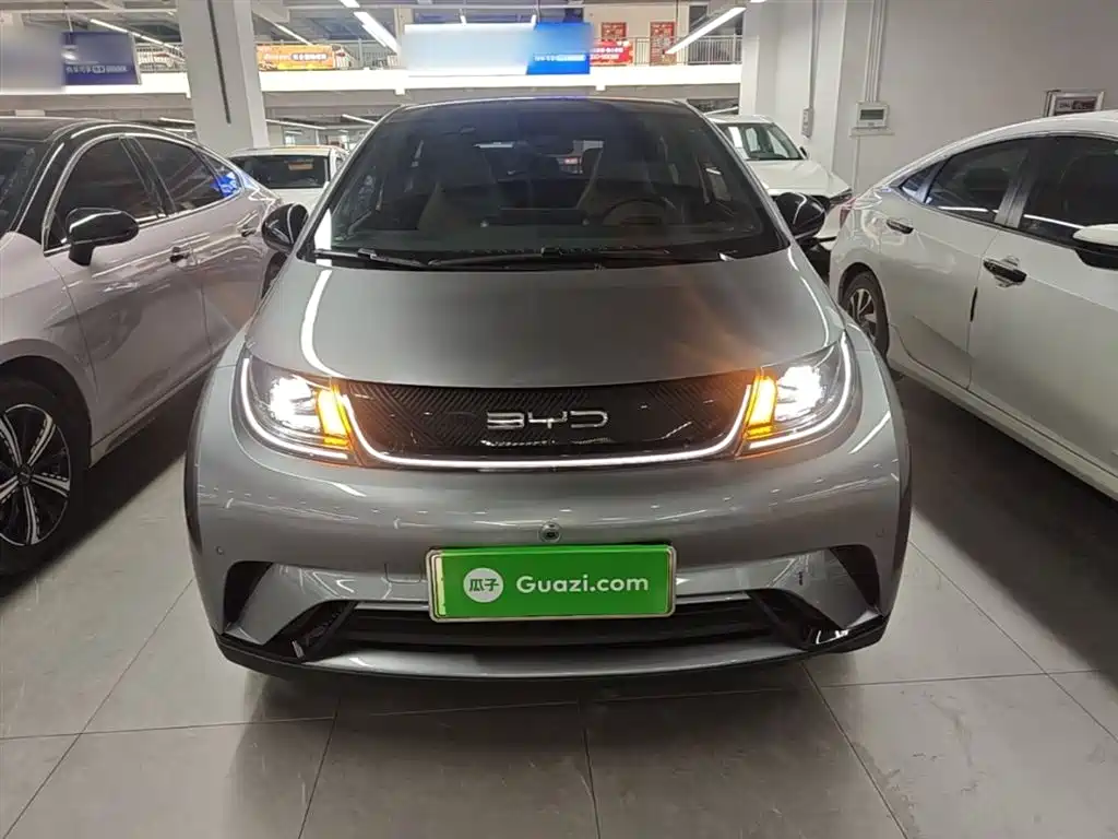 BYD Dolphin 2023 420km Fashion Edition фото 3