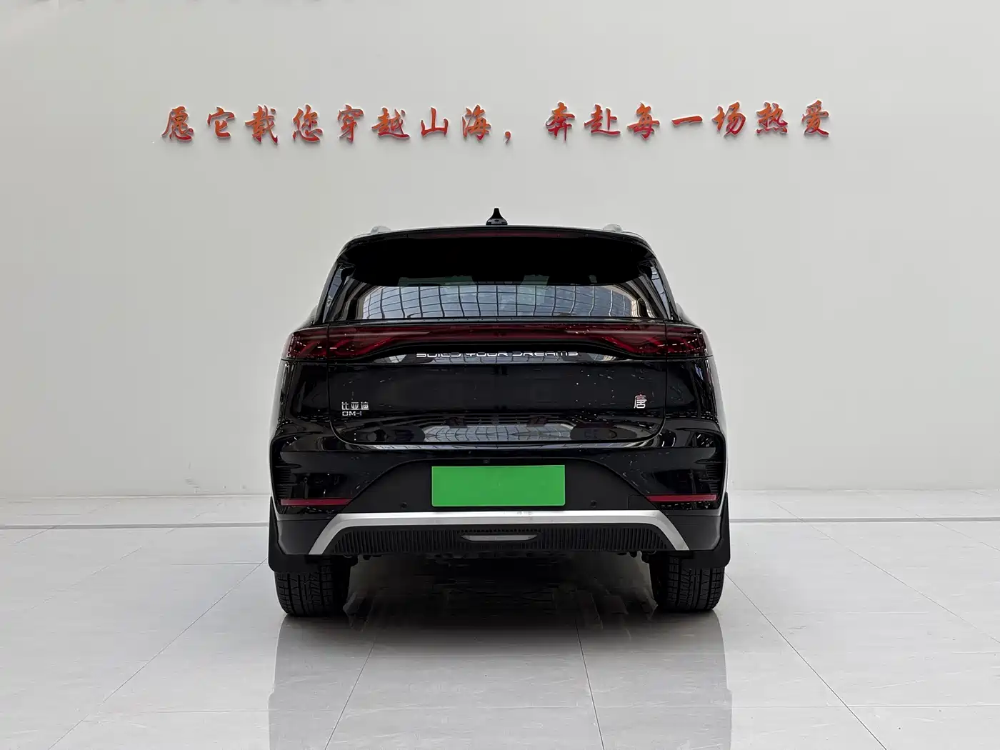 BYD TANGXIN ENERGY