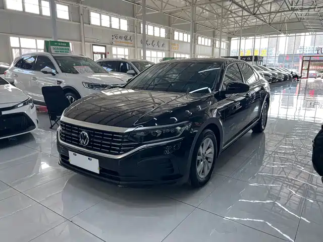 Volkswagen Passat 280TSI, Бизнес