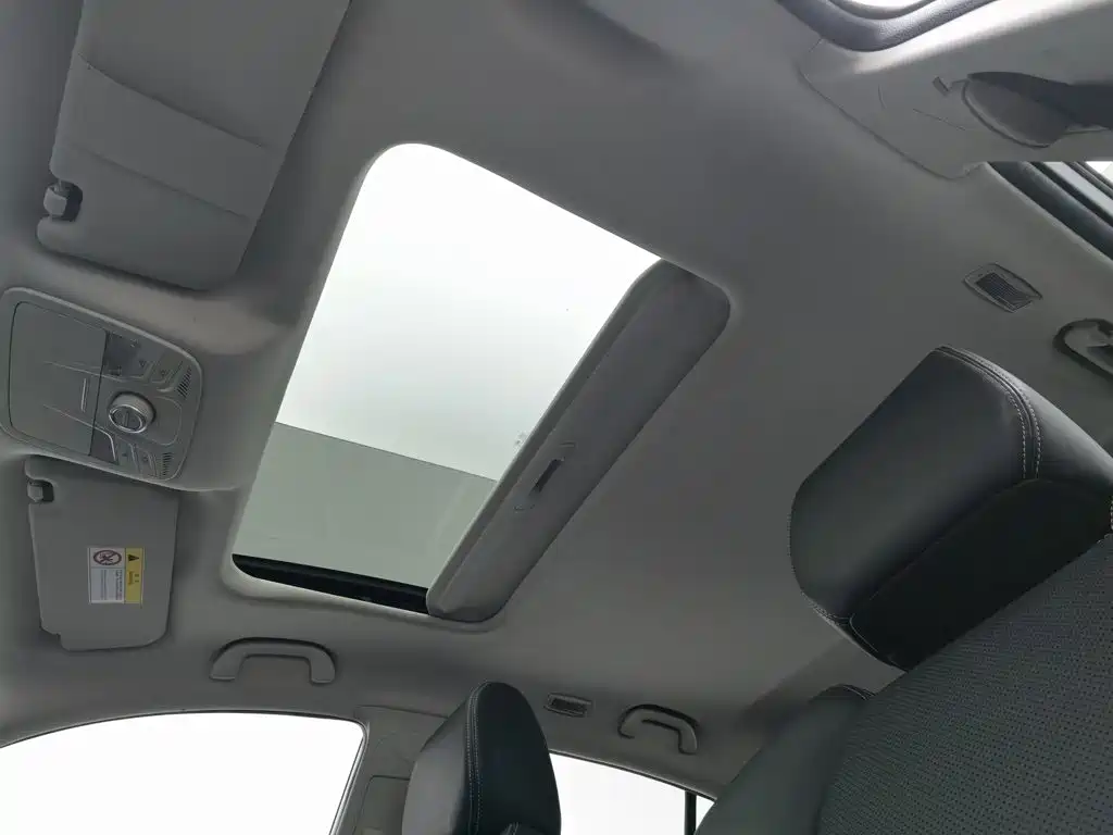 Ford Territory 2019 2019 EcoBoost 145 CVT Platinum Edition China V