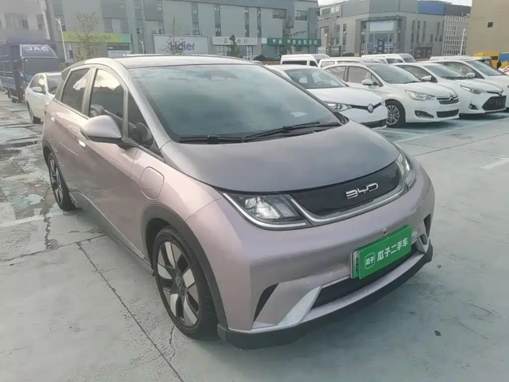 Фото 4 - BYD Dolphin