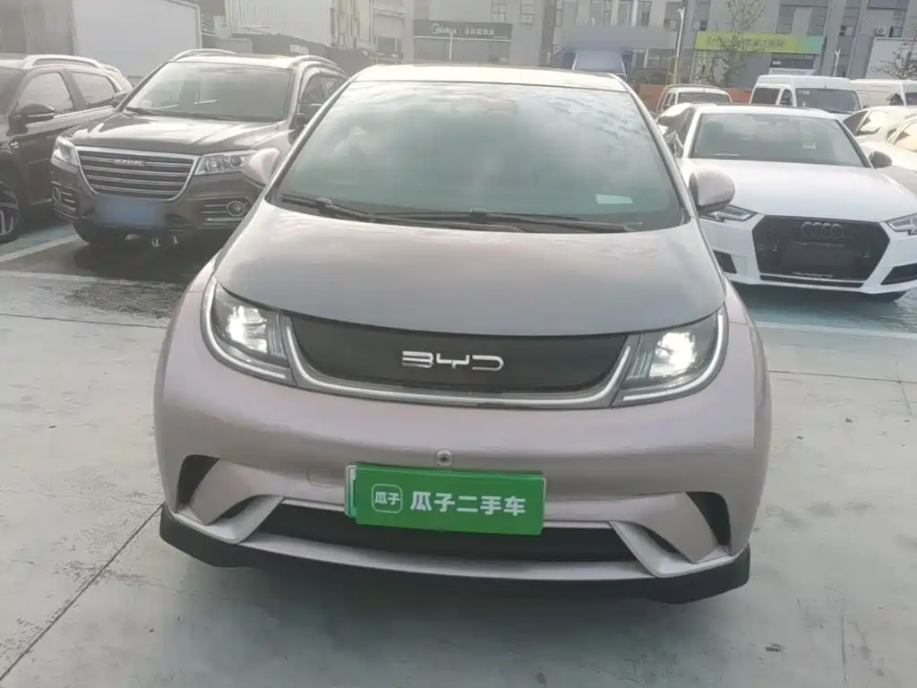 Фото 3 - BYD Dolphin