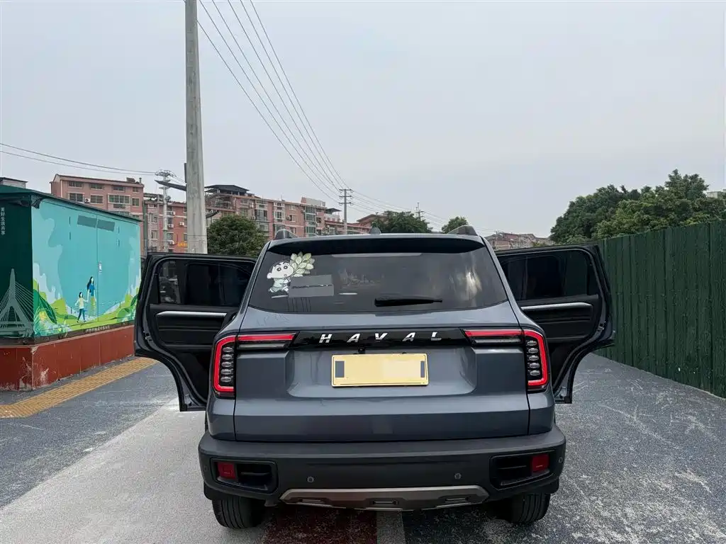 Haval Big Dog 2021 1.5T DCT 2WD Border Collie Edition фото 9