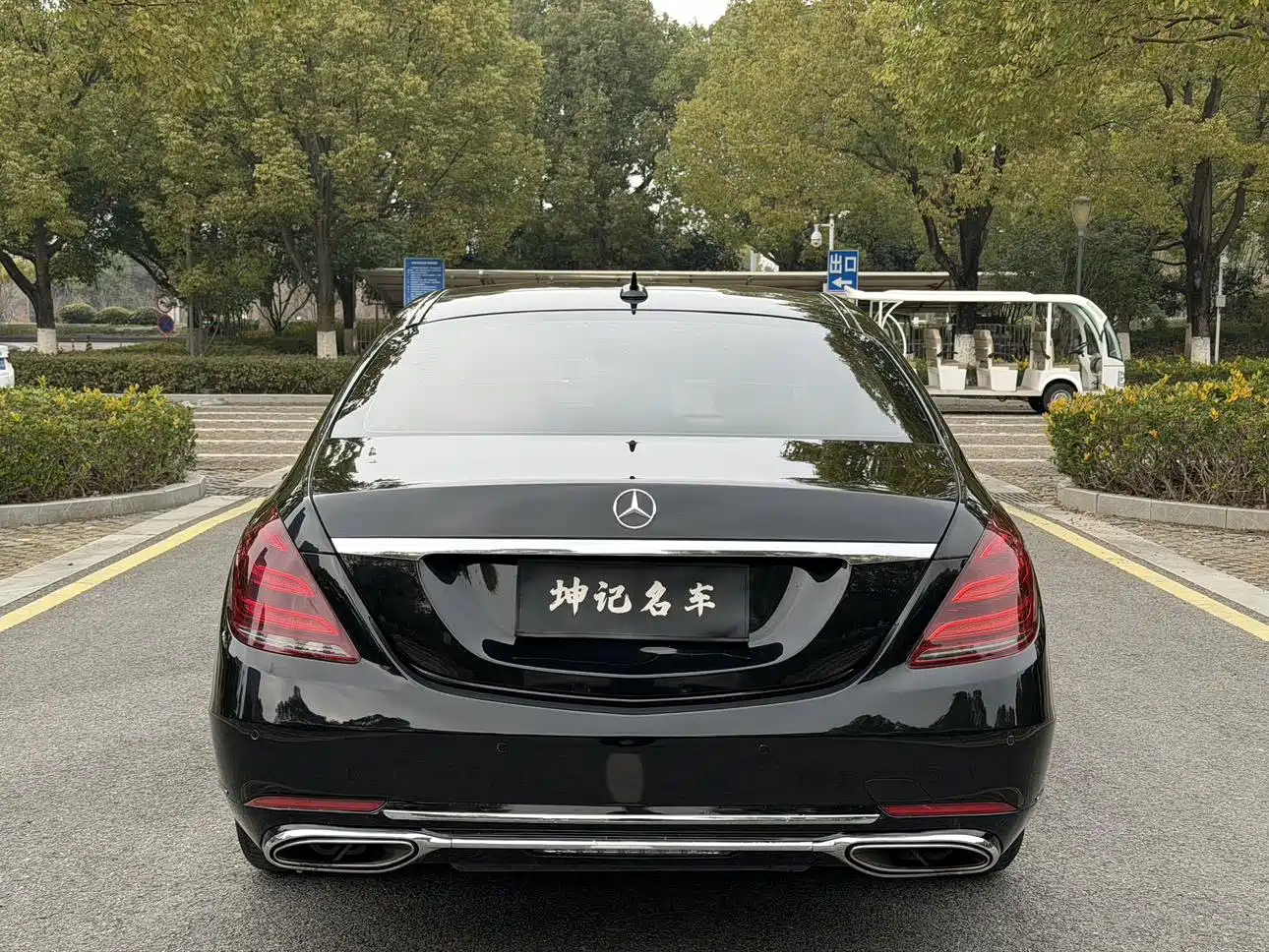 Mercedes-Benz S-Class 2016 S 320 L Luxury фото 15