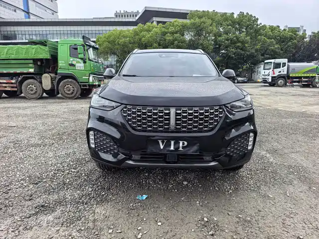 WEY VV6 2020 2.0T 2WD Smart Joy+