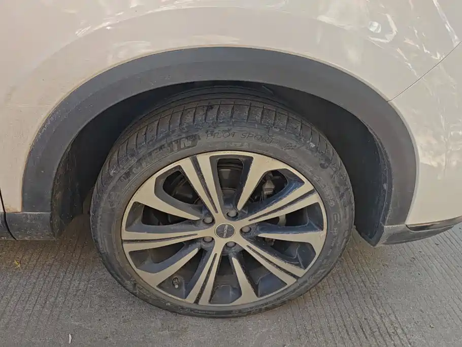 Фото 6 - Roewe RX5 MAX