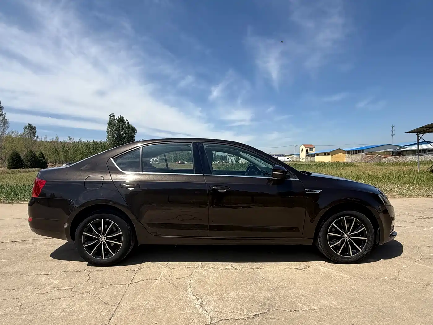 Škoda Octavia 2017 1.6L Automatic Smart Edition фото 8