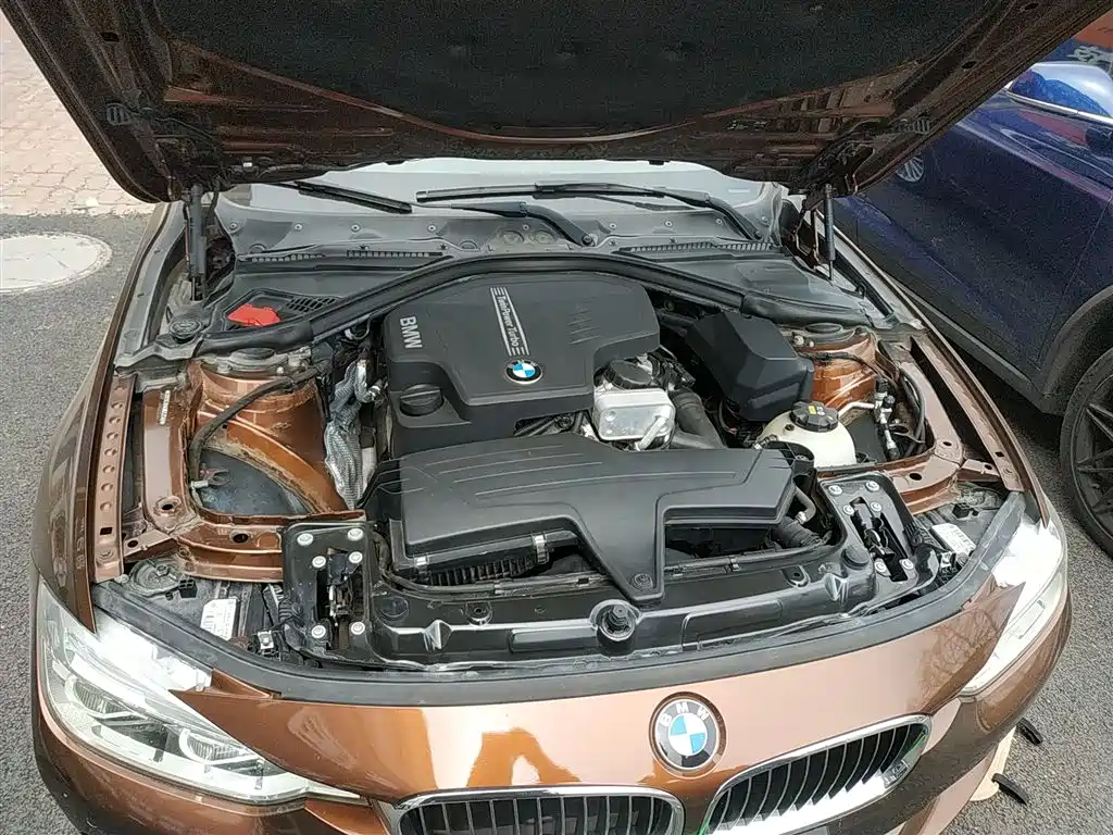 BMW 3 Series 2016 320Li Luxury Design Package фото 20