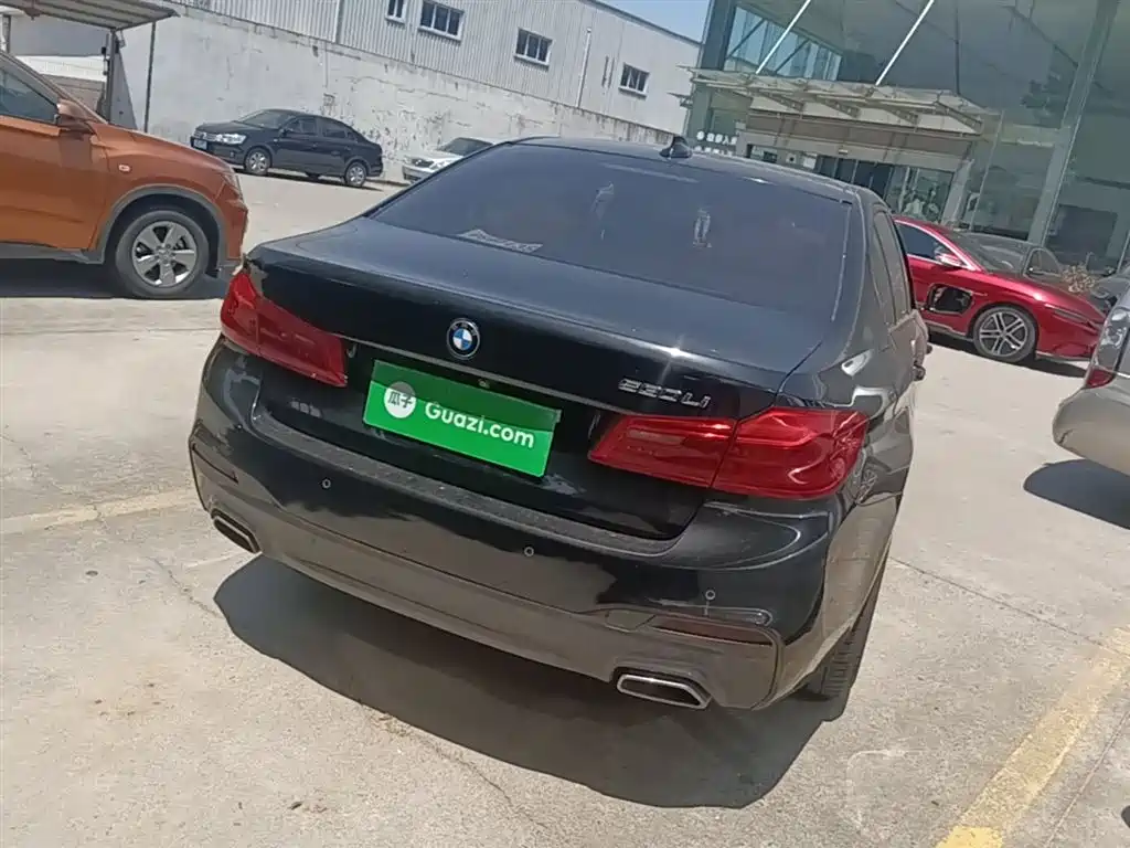 BMW 5 Series 2019 530Li Leading M Sport Package фото 7