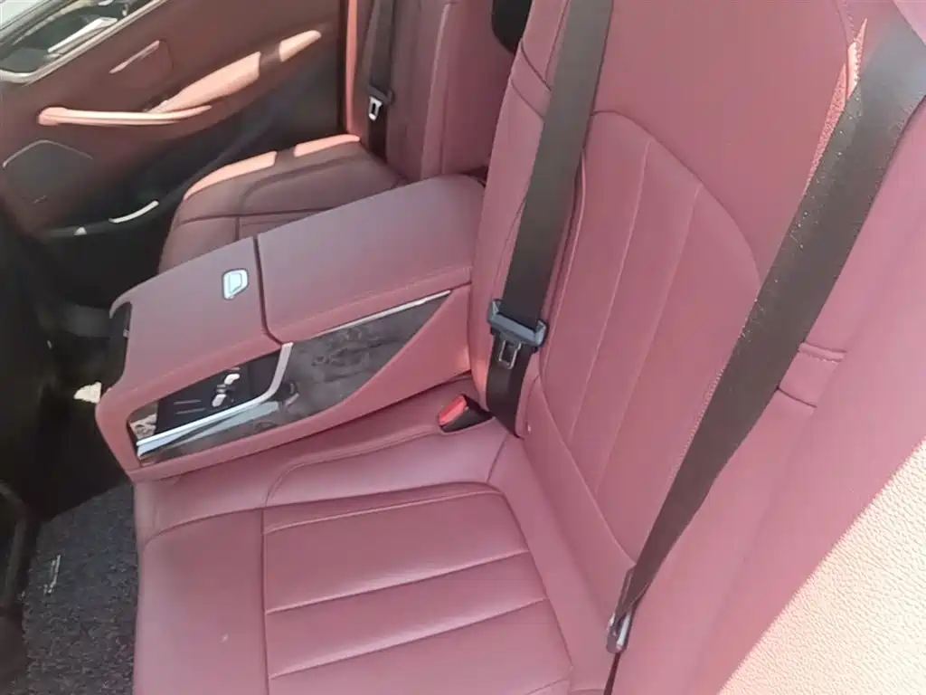 BMW 5 Series 2019 530Li Leading M Sport Package фото 17