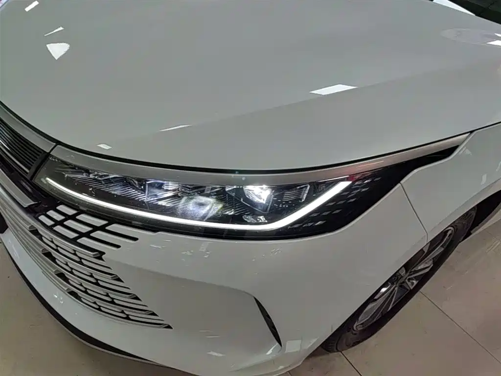 BYD Destroyer 05 2024 Glory Edition DM-i 55KM Luxury фото 24