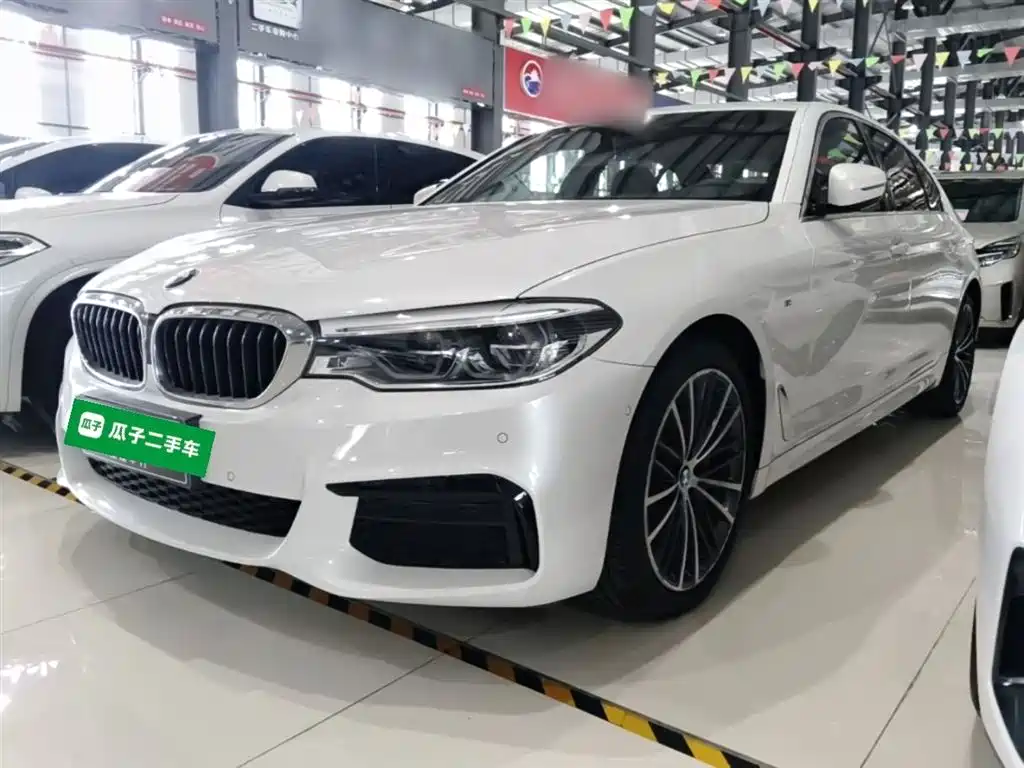 BMW 5 Series 2020 530Li Leading M Sport Package