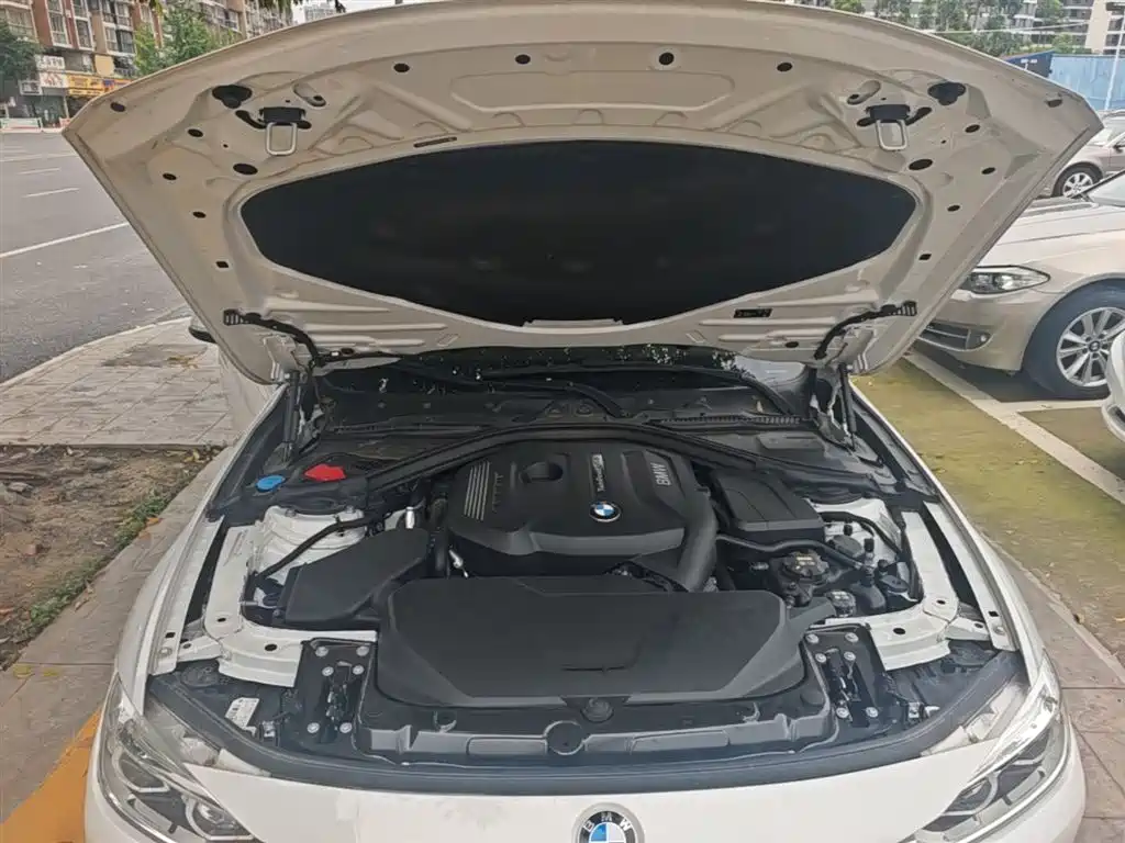 BMW 3 Series 2019 320Li Fashion Type фото 20