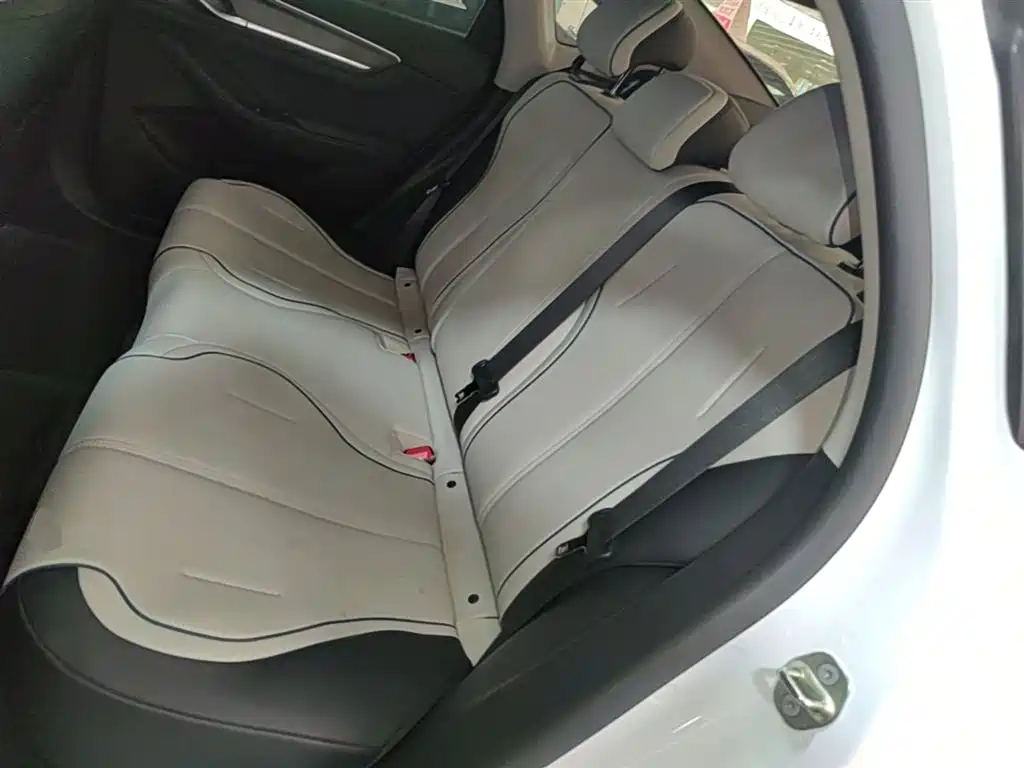 BYD Destroyer 05 2024 Glory Edition DM-i 55KM Luxury фото 17