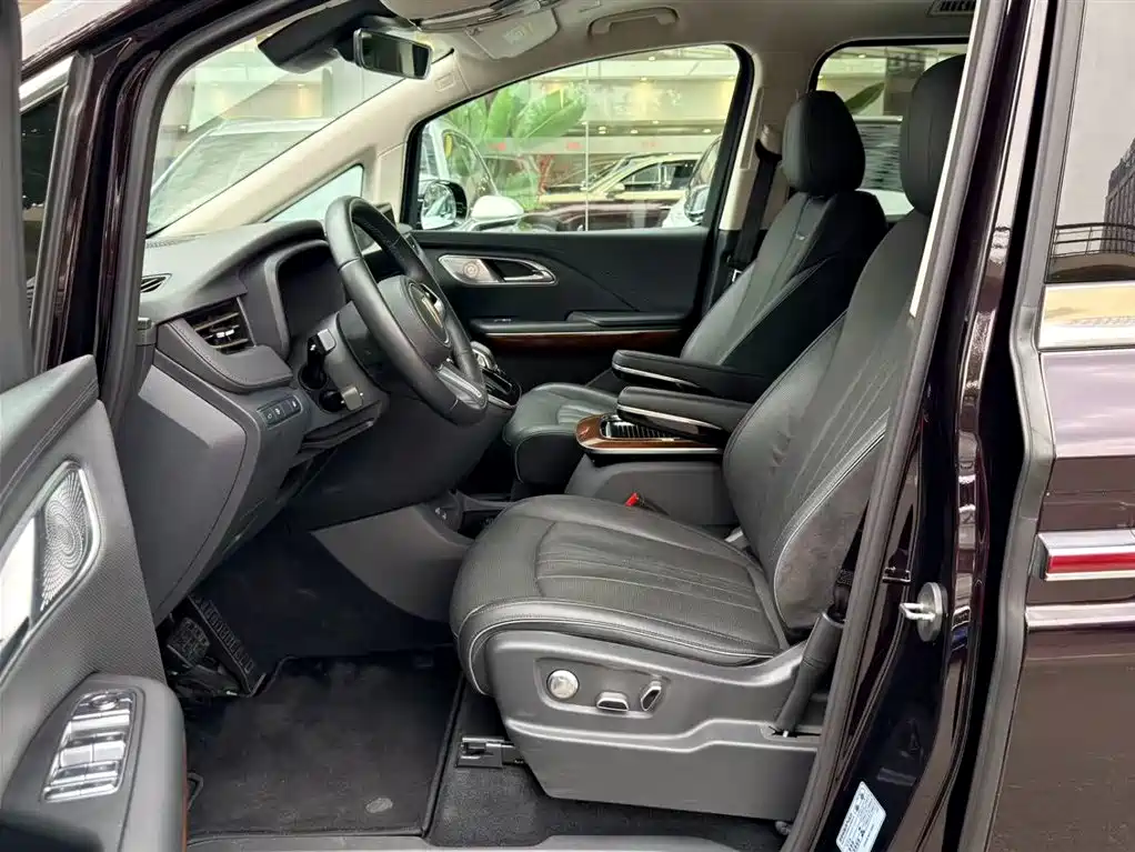 Hongqi HQ9 PHEV 2024 Model 2.0T AWD Luxury Edition фото 6