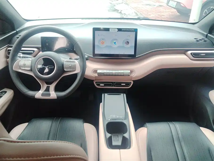 BYD Seagull 2023 Vitality Edition фото 12