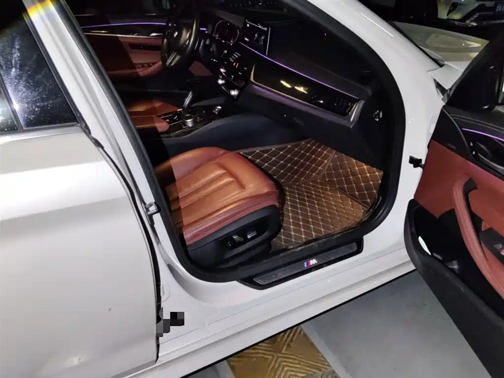 BMW 5 Series 2020 530Li Leading M Sport Package фото 19