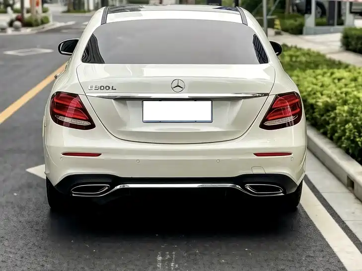 Mercedes-Benz E-Class 2017 E 300 L Sport Luxury фото 5