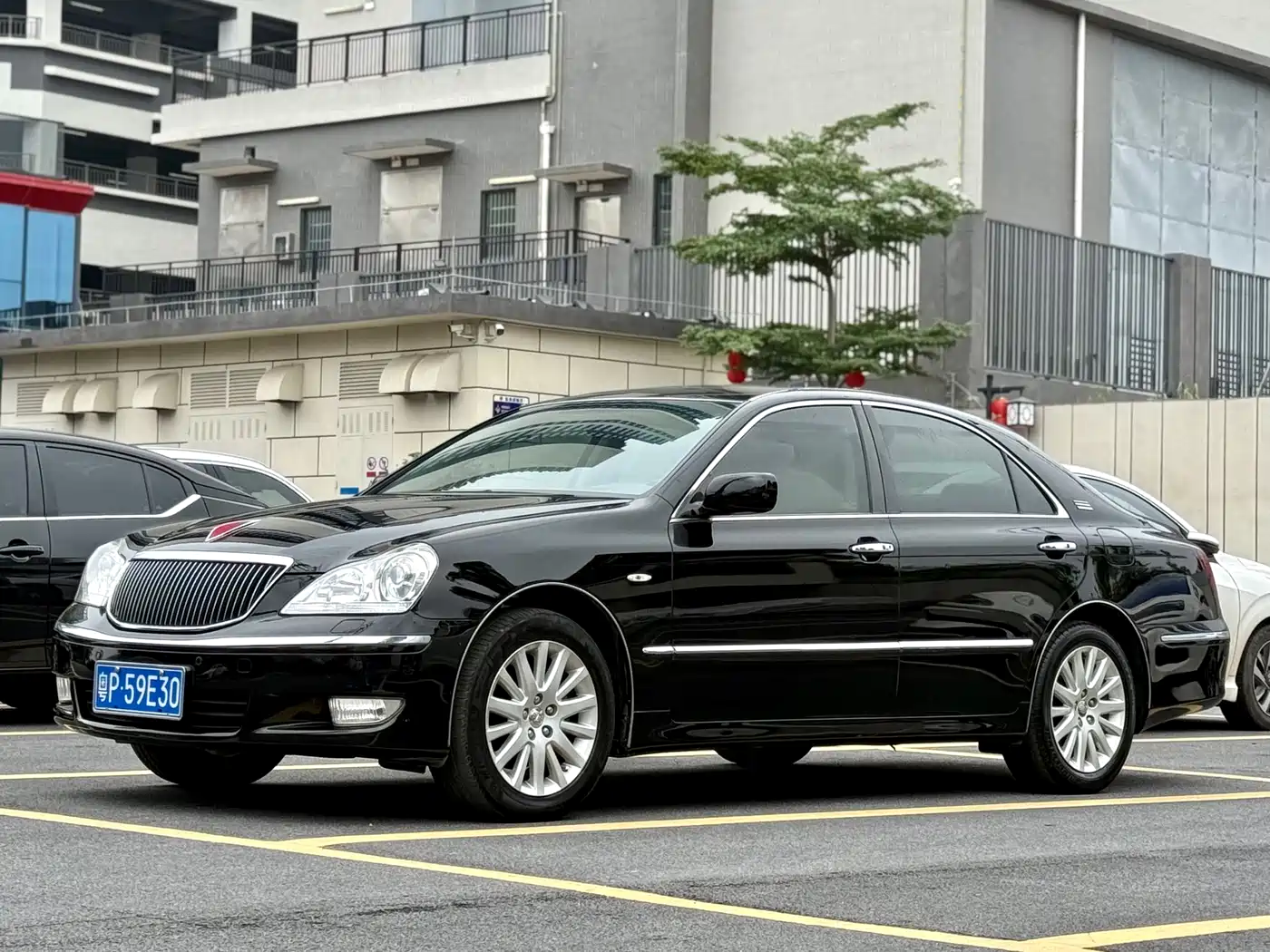 Hongqi Hongqi盛世 2009 3.0L Luxury фото 5