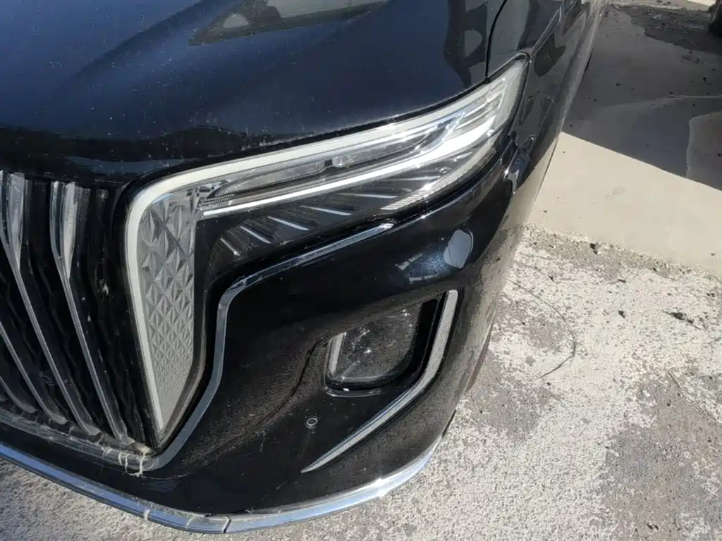 Hongqi HQ9 2023 2.0T Smart Connect Flag Enjoy Edition фото 24