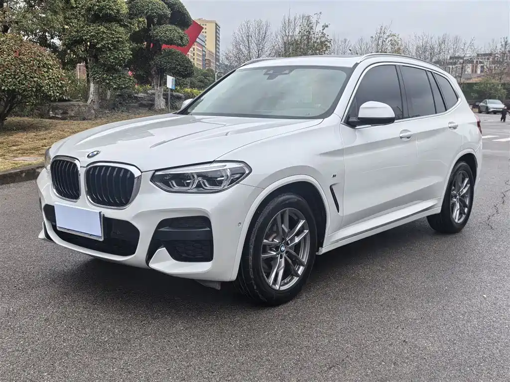 BMW X3 2020 xDrive25i M Sport Package