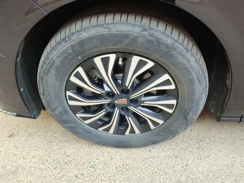 Hongqi HQ9 PHEV 2024 Model 2.0T AWD Luxury Edition фото 23