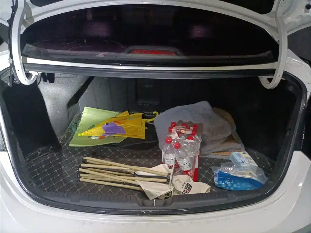 Hyundai Langdong 2016 1.6L Automatic Premium Edition фото 10