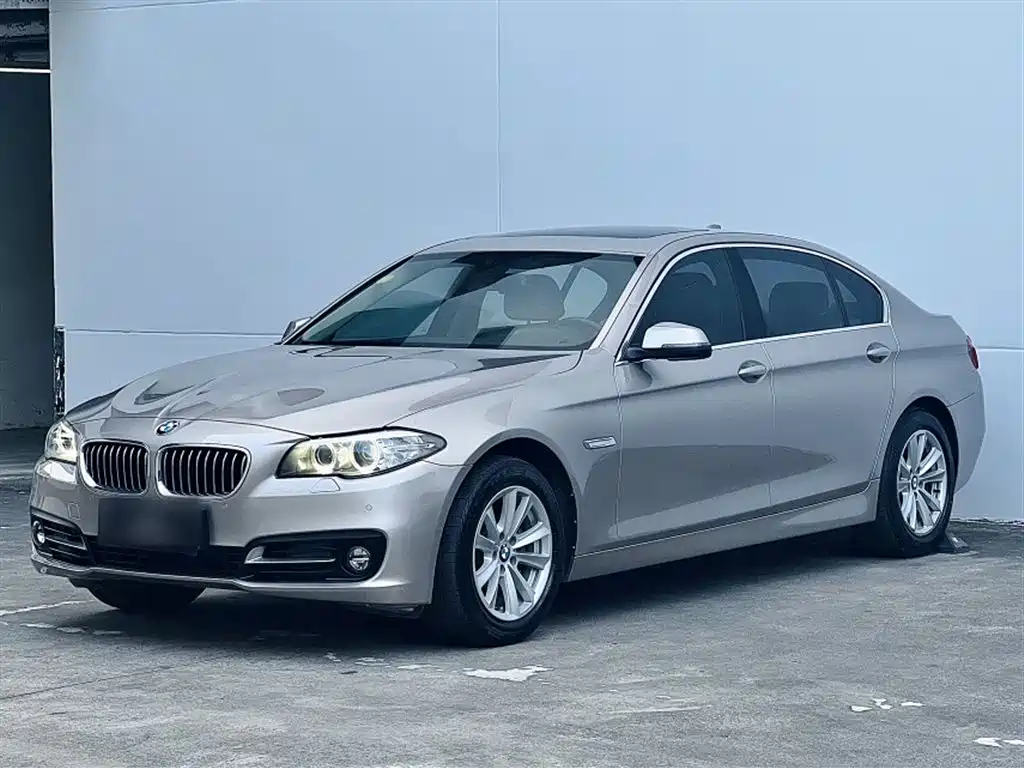 BMW 5 Series 2014 520Li Elegance фото 2