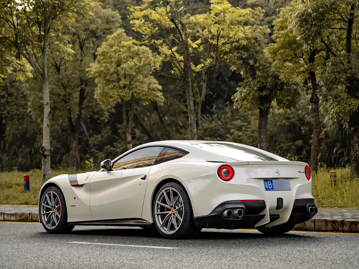 Ferrari F12berlinetta 2013 6.3L Standard фото 13