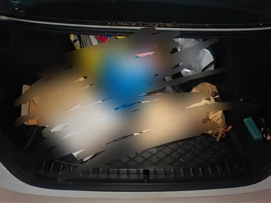 BMW 5 Series 2020 525Li M Sport Package фото 4