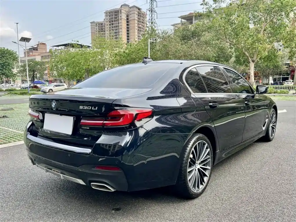 BMW 5 Series 2021 530Li Leading M Sport Package фото 9