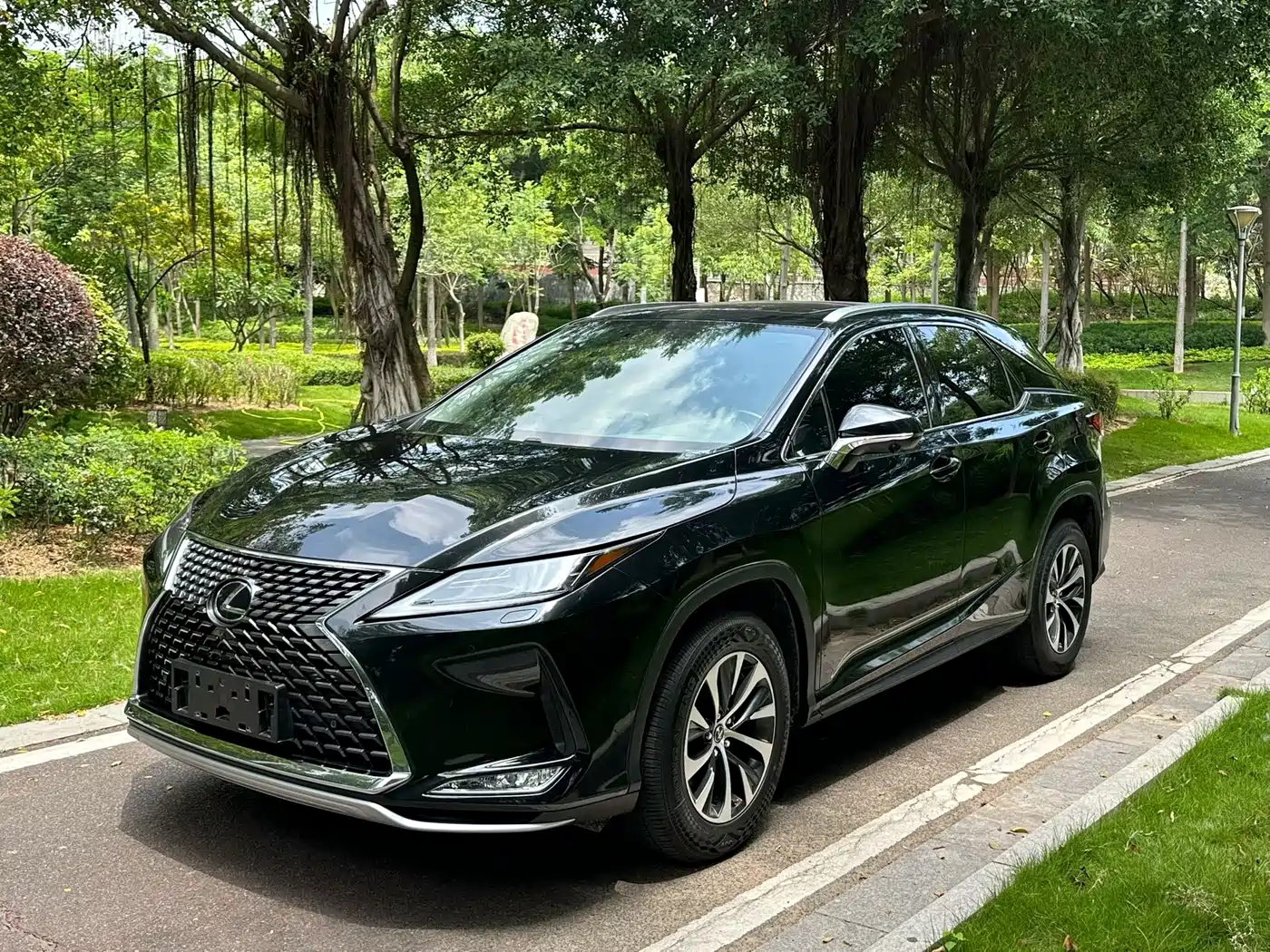 Lexus RX 2020 300 2WD Elite Edition China VI