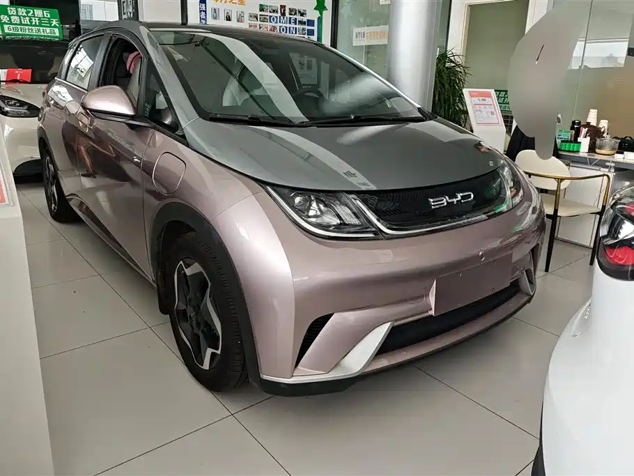 BYD Dolphin 2021 Model 405km Fashion Edition фото 2