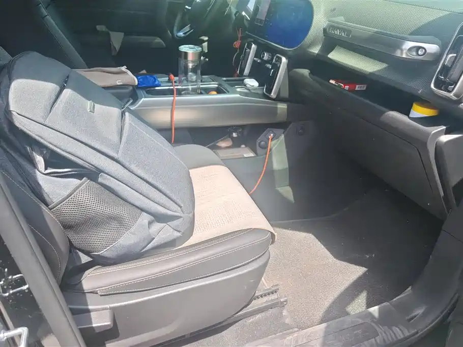 Haval Big Dog 2024 1.5T DCT Border Collie Edition фото 8
