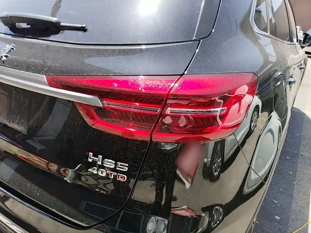 Hongqi HS5 2019 2.0T Smart Connect Enjoy 4WD Edition фото 8